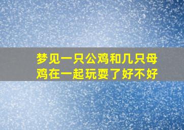 梦见一只公鸡和几只母鸡在一起玩耍了好不好