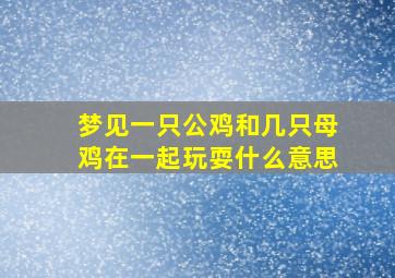 梦见一只公鸡和几只母鸡在一起玩耍什么意思