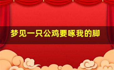 梦见一只公鸡要啄我的脚