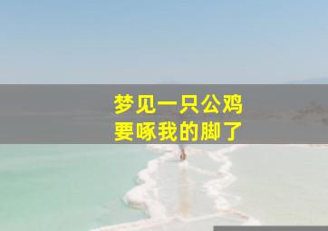 梦见一只公鸡要啄我的脚了