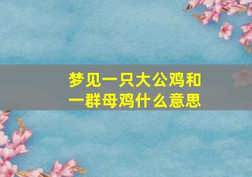 梦见一只大公鸡和一群母鸡什么意思