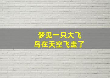 梦见一只大飞鸟在天空飞走了