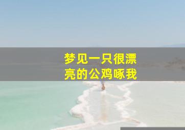 梦见一只很漂亮的公鸡啄我