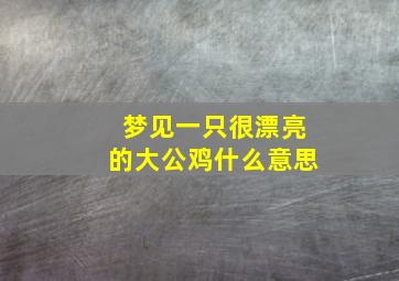 梦见一只很漂亮的大公鸡什么意思