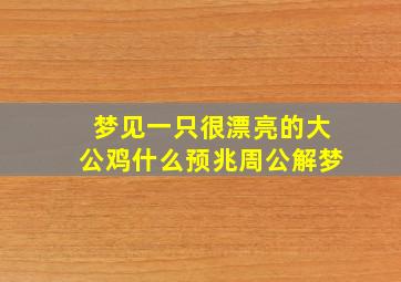 梦见一只很漂亮的大公鸡什么预兆周公解梦