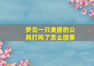 梦见一只美丽的公鸡打鸣了怎么回事