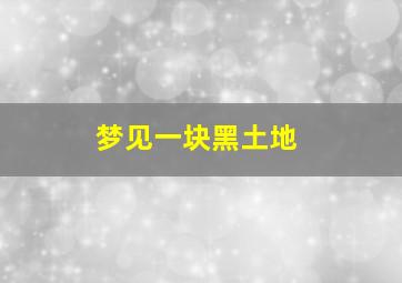 梦见一块黑土地