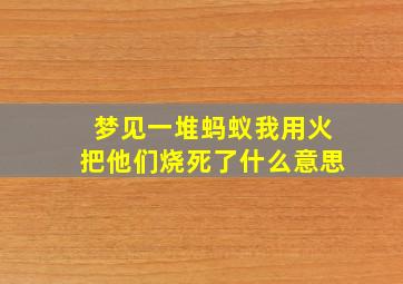 梦见一堆蚂蚁我用火把他们烧死了什么意思