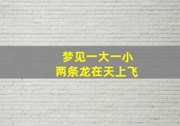 梦见一大一小两条龙在天上飞