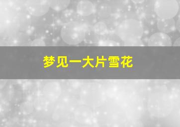 梦见一大片雪花