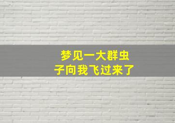 梦见一大群虫子向我飞过来了