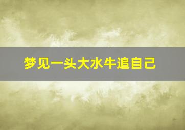 梦见一头大水牛追自己