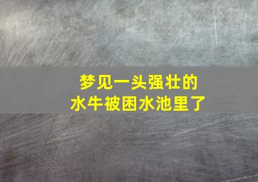 梦见一头强壮的水牛被困水池里了