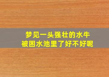 梦见一头强壮的水牛被困水池里了好不好呢