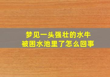 梦见一头强壮的水牛被困水池里了怎么回事