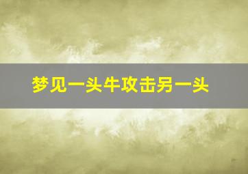 梦见一头牛攻击另一头