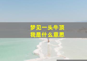 梦见一头牛顶我是什么意思