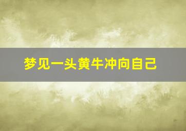 梦见一头黄牛冲向自己