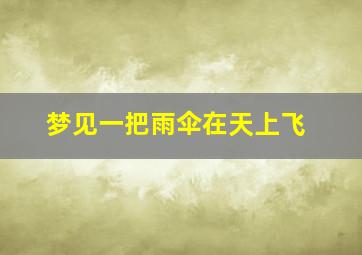 梦见一把雨伞在天上飞