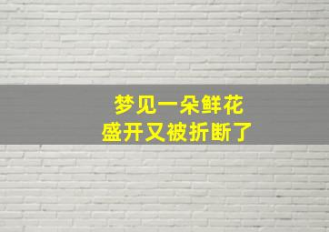 梦见一朵鲜花盛开又被折断了