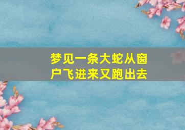 梦见一条大蛇从窗户飞进来又跑出去