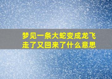 梦见一条大蛇变成龙飞走了又回来了什么意思