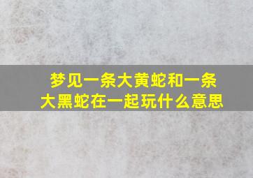 梦见一条大黄蛇和一条大黑蛇在一起玩什么意思