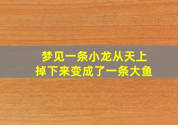 梦见一条小龙从天上掉下来变成了一条大鱼