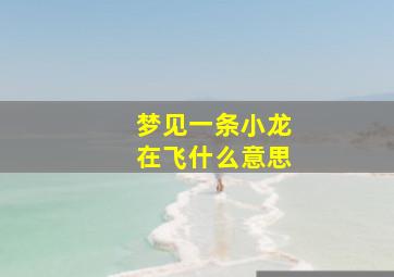 梦见一条小龙在飞什么意思