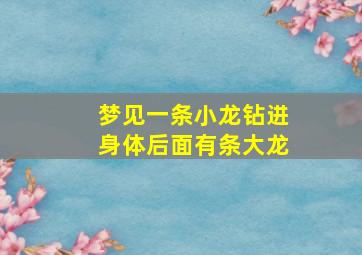 梦见一条小龙钻进身体后面有条大龙