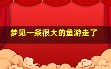 梦见一条很大的鱼游走了