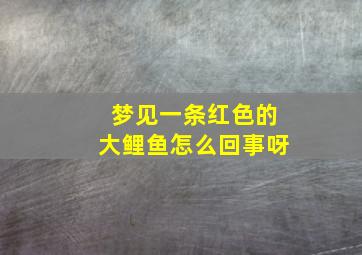 梦见一条红色的大鲤鱼怎么回事呀