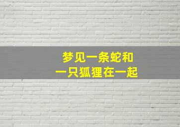 梦见一条蛇和一只狐狸在一起