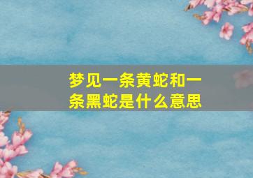 梦见一条黄蛇和一条黑蛇是什么意思