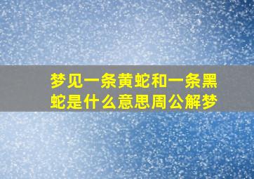 梦见一条黄蛇和一条黑蛇是什么意思周公解梦