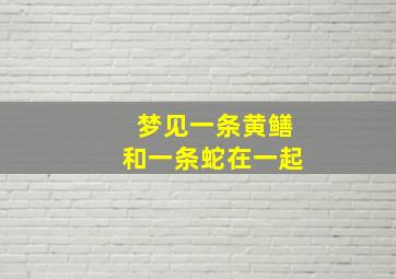 梦见一条黄鳝和一条蛇在一起