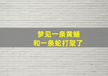 梦见一条黄鳝和一条蛇打架了