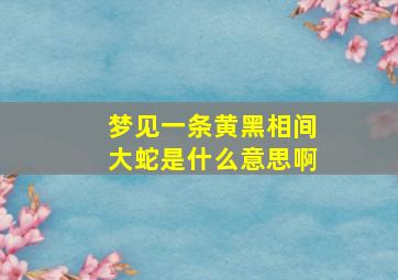 梦见一条黄黑相间大蛇是什么意思啊