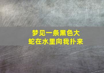 梦见一条黑色大蛇在水里向我扑来