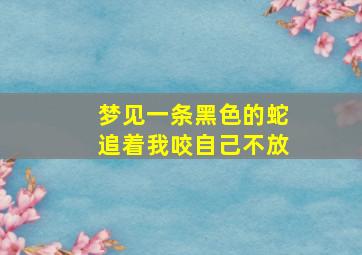 梦见一条黑色的蛇追着我咬自己不放