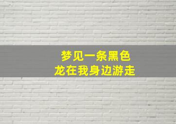 梦见一条黑色龙在我身边游走