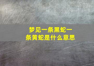 梦见一条黑蛇一条黄蛇是什么意思