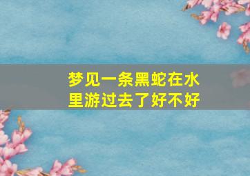 梦见一条黑蛇在水里游过去了好不好