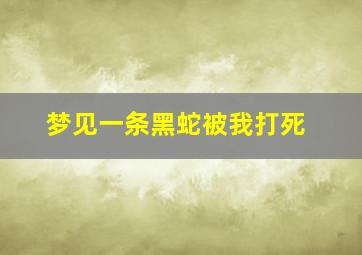 梦见一条黑蛇被我打死