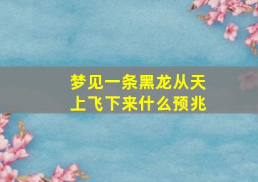 梦见一条黑龙从天上飞下来什么预兆