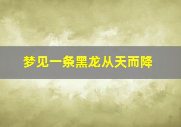 梦见一条黑龙从天而降