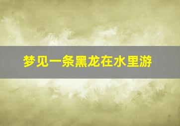 梦见一条黑龙在水里游