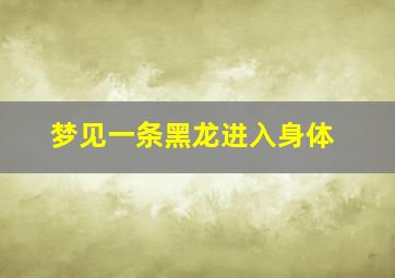 梦见一条黑龙进入身体