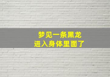 梦见一条黑龙进入身体里面了