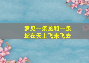 梦见一条龙和一条蛇在天上飞来飞去